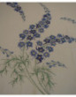 Nappe DELPHINIUM