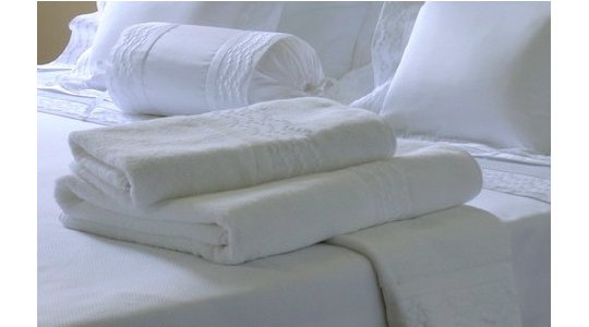 PLUMETIS embroidered bath towels