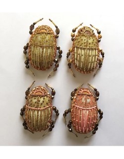 Bettle brooch