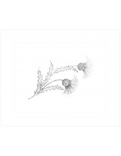 "Thistle" placemat pattern