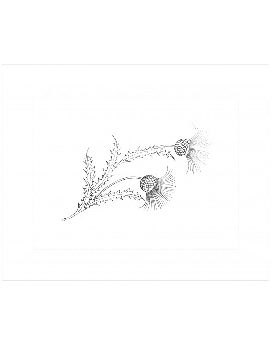 "Thistle" pillow case pattern