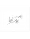 "Thistle" pillow case pattern