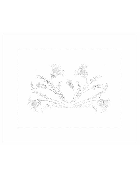 Taie de coussin à broder "CHARDONS"