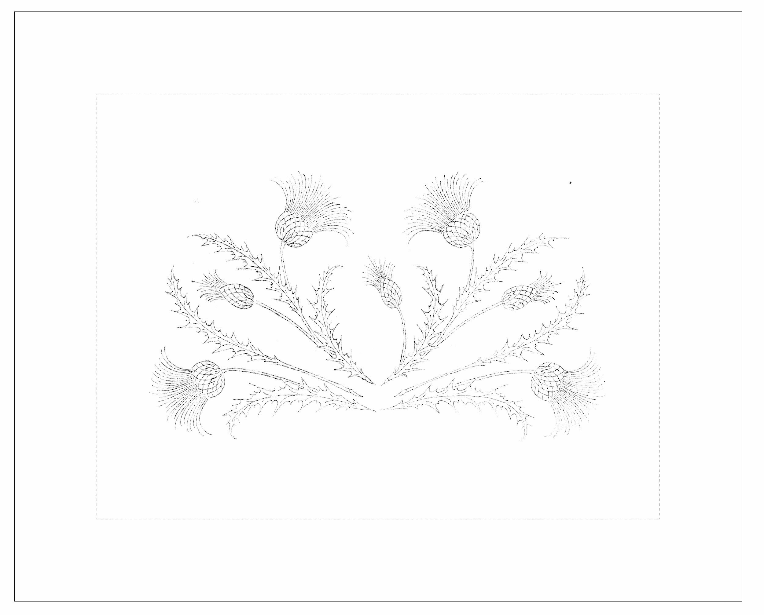 Taie de coussin à broder "CHARDONS"