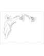 "Lys et chardons" placemat pattern