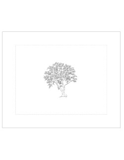 "Olivier" pillow case pattern